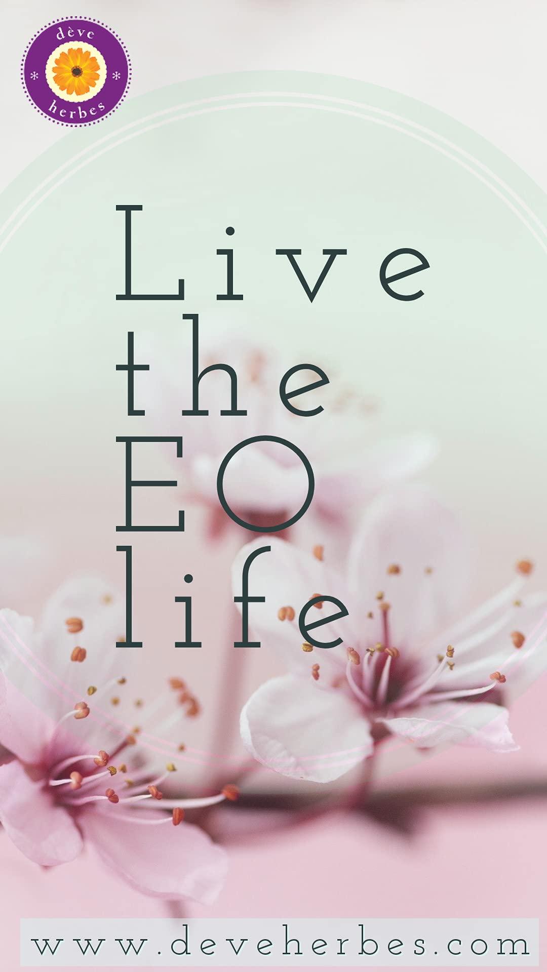 SUPREME Supreme Super X TZ Braid Pre Stretched Pre Cut Pre Combed Expression Hair for Braiding 2 Bundles in 1 Pack 48 Inches (1B)