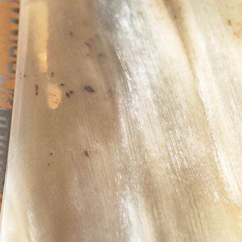 DOVO DOVO Straight Razor, Horn Prima, 5/8"- DV-45850, 1 ct.