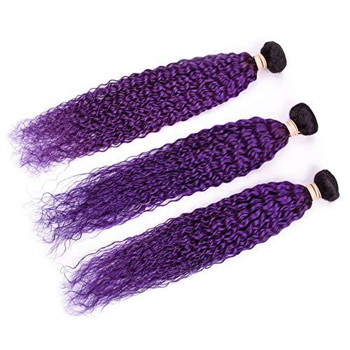 Tony beauty hair Tony Beauty Hair #1B/Purple Ombre Curly Human Hair Bundles Deals 3Pcs Lot Jerry Curly Ombre Purple Brazilian Human Hair Weave Extensions Dark Roots Double Wefts 10-30" Mixed Length (26 28 28)