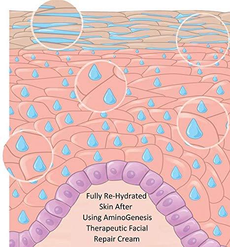 AminoGenesis AminoGenesis Therapeutic Facial Repair w/SYTHE'6 1.7 oz Anti Aging, Moisturizer, Peptide, Amino Acids, Collagen, Elastin, Wrinkle, Dark Spot, Dry, All Skin Type Cream, Skin Renewing