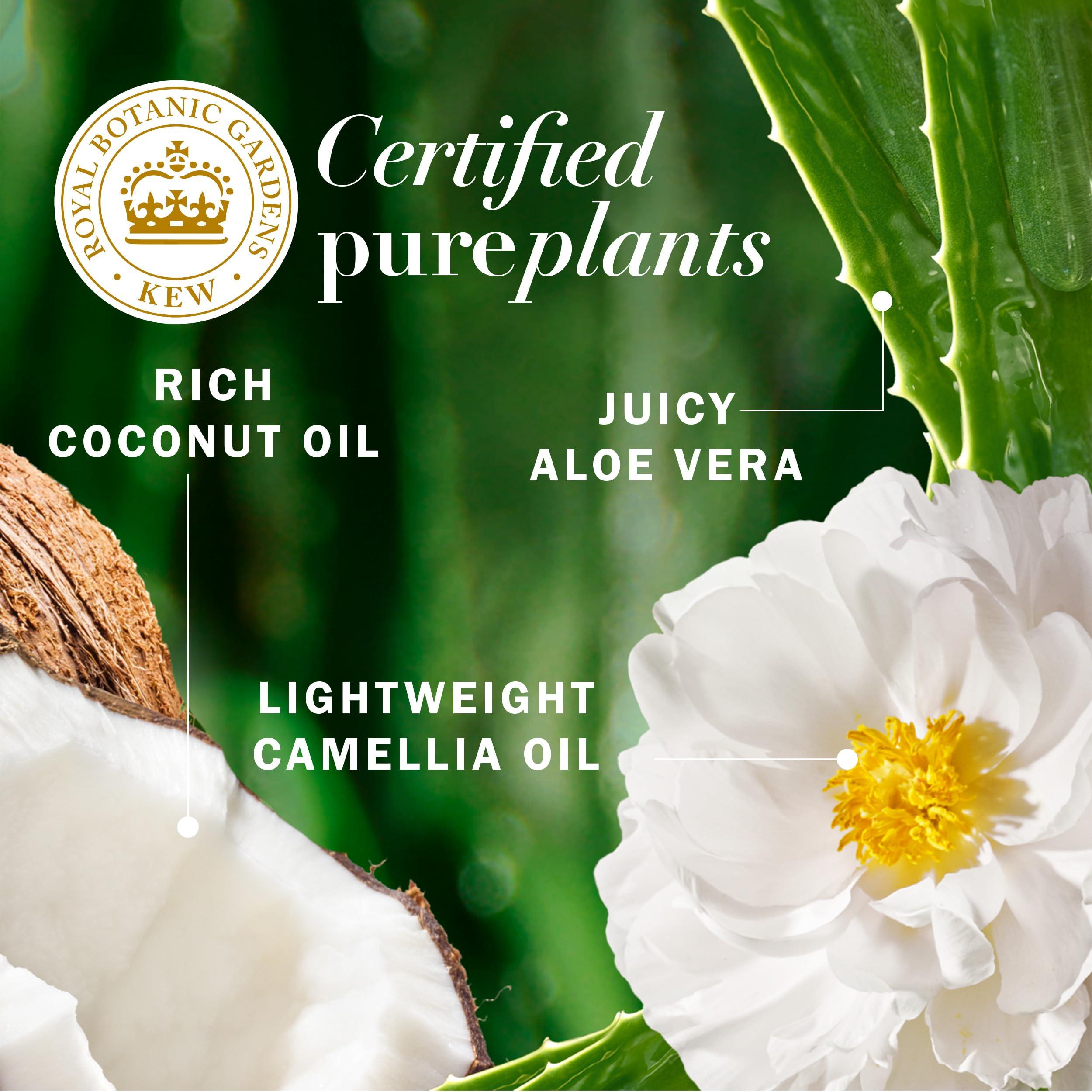 Herbal Essences Herbal Essences Biorenew Coconut Milk Hydrate Shampoo, 13.5 Fl Oz,Pack of 6