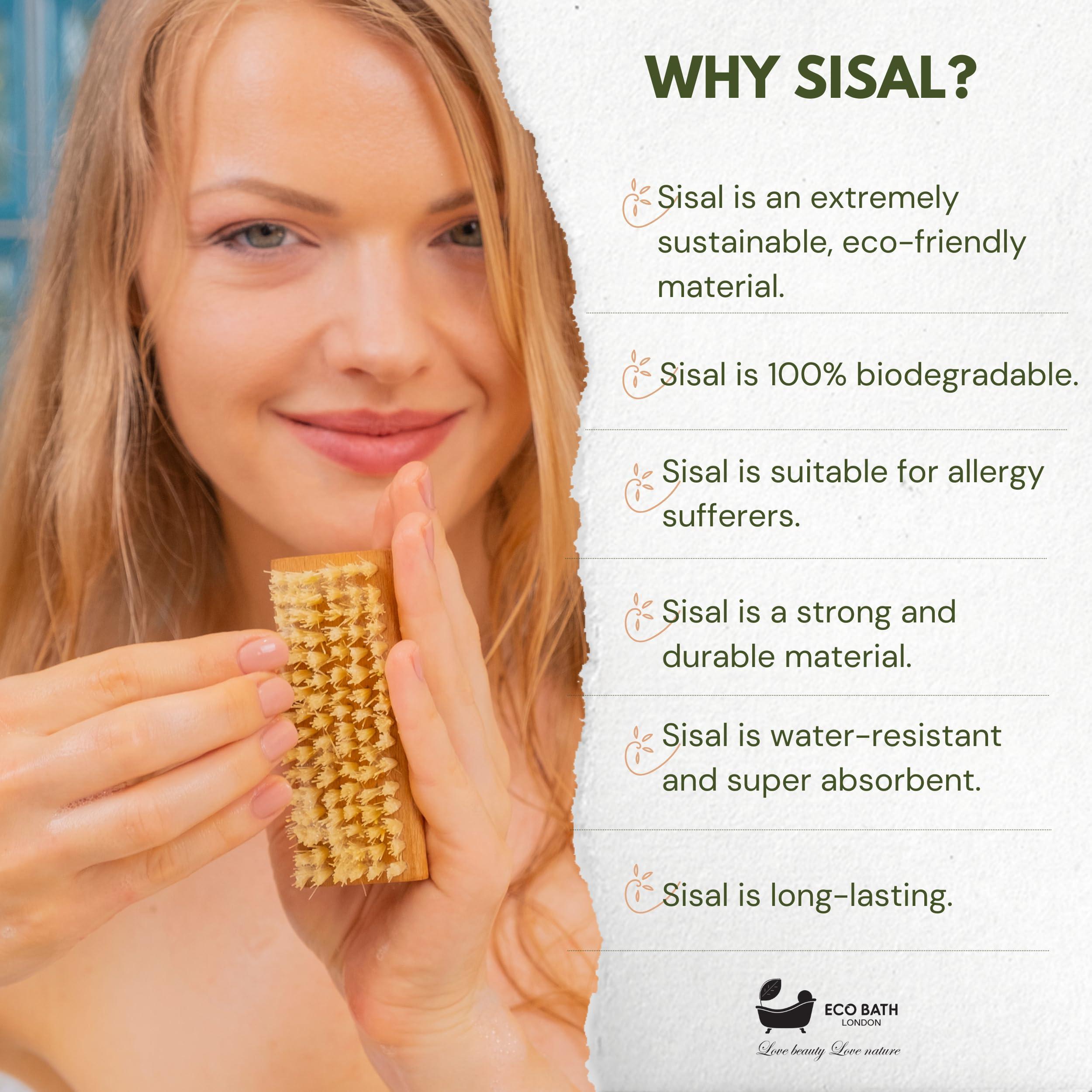 Eco Bath London Eco Bath London Natural Nail Brush - Eco-Friendly Double-Sided Nail Cleaning Brush with Firm and Soft Cactus Bristles for Manicure and Pedicure (Olive Wood (R))