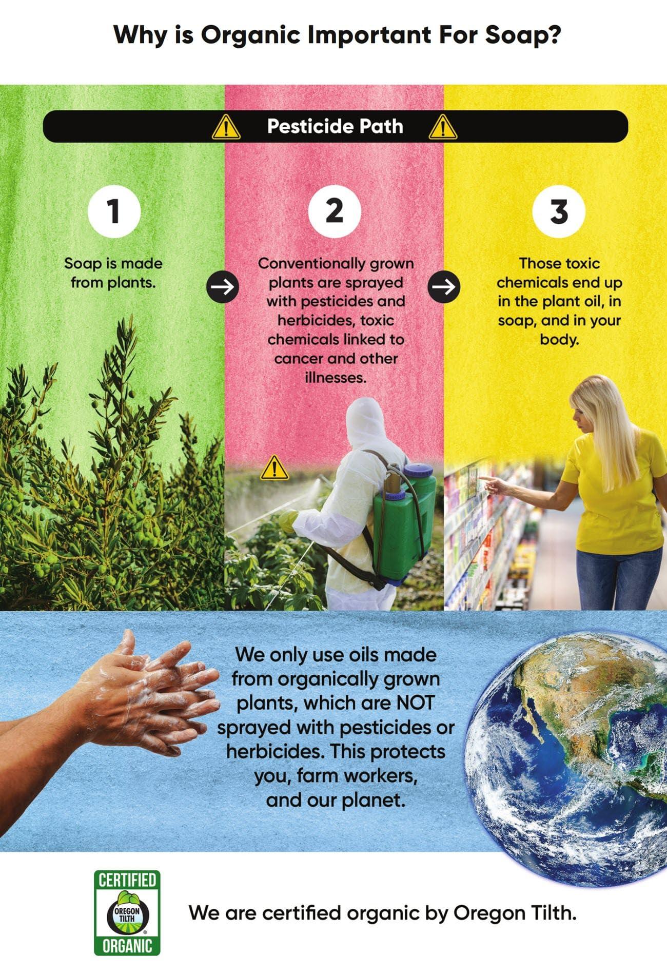 S.M.O.C. Skincare Certified Organic Eczema Soap for Face & Body, Unscented with Oatmeal, Aloe, Extra Virgin Olive Oil, & Cocoa Butter - Soap for Dermatitis, Psoriasis, Sensitive Dry Skin - For Adults & Children (1)