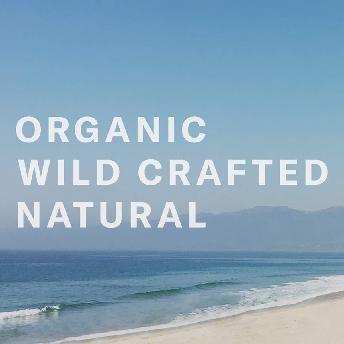 Chocolate Sun Chocolate Sun Cocoa Fleur tanning atomizer #2 (medium to dark)