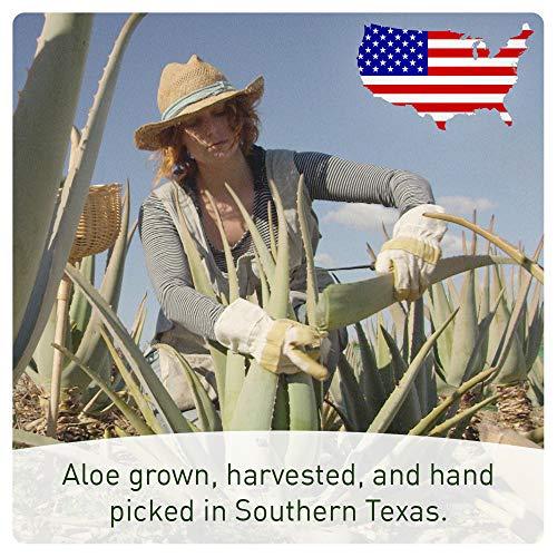 Seven Minerals Seven Minerals, Organic Aloe Vera Spray for Body & Hair - From Freshly Cut Aloe Plant, Extra Strong, Easy to Apply, No Thickeners So It Absorbs Rapidly, No Sticky Residue - Made in USA (Big 12 fl oz)