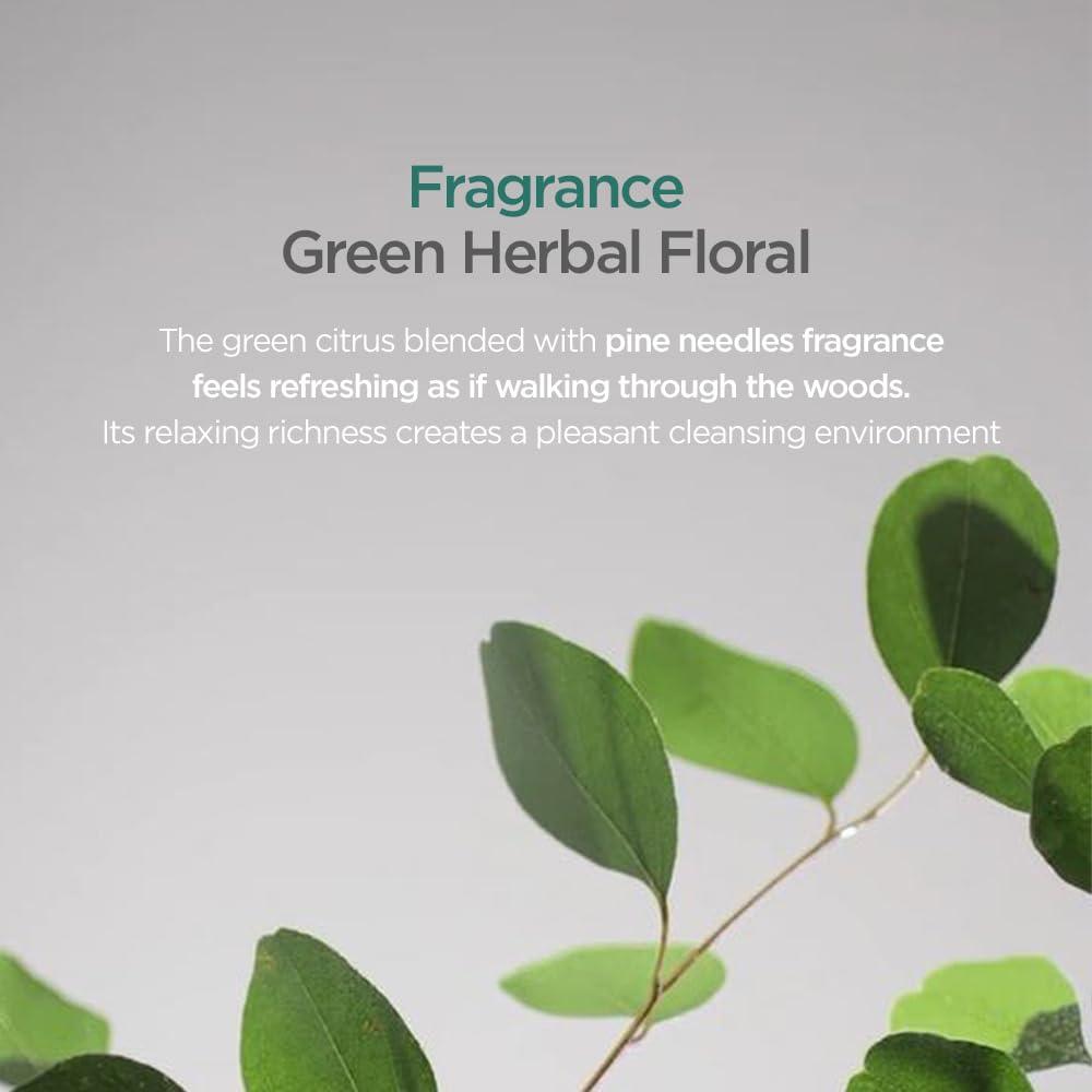 AYUNCHE AYUNCHE Rebalancing Shampoo Moist + Hair Mask Mini Kit [For Dry Scalp] | Soft & Moisturizing Cleansing Shampoo | Anti-Hair Loss and Anti-Thinning Shampoo | Korean Salon Brand | Gift Set