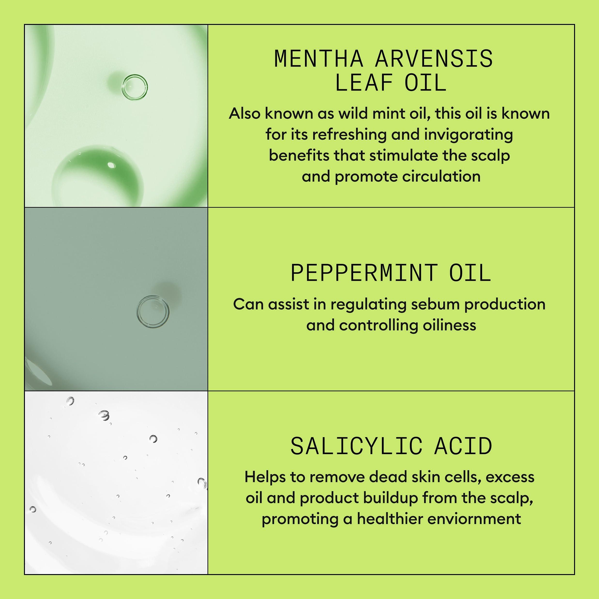 Nioxin Nioxin Scalp + Hair Thickening System 2 Shampoo | For Natural or Untreated Hair with Progressed Thinning | With Niacinamide and Biotin | 16.9 Fl oz.