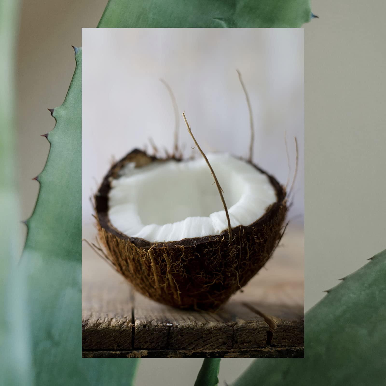 RAW SUGAR Men\'s 2-in-1 Shampoo & Conditioner | Strengthen: Growth Reviving & Thickening | Tea Tree + Coconut + Aloe | 18 fl oz