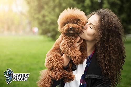 Cowboy Magic Cowboy Magic Detangler & Shine 4 oz