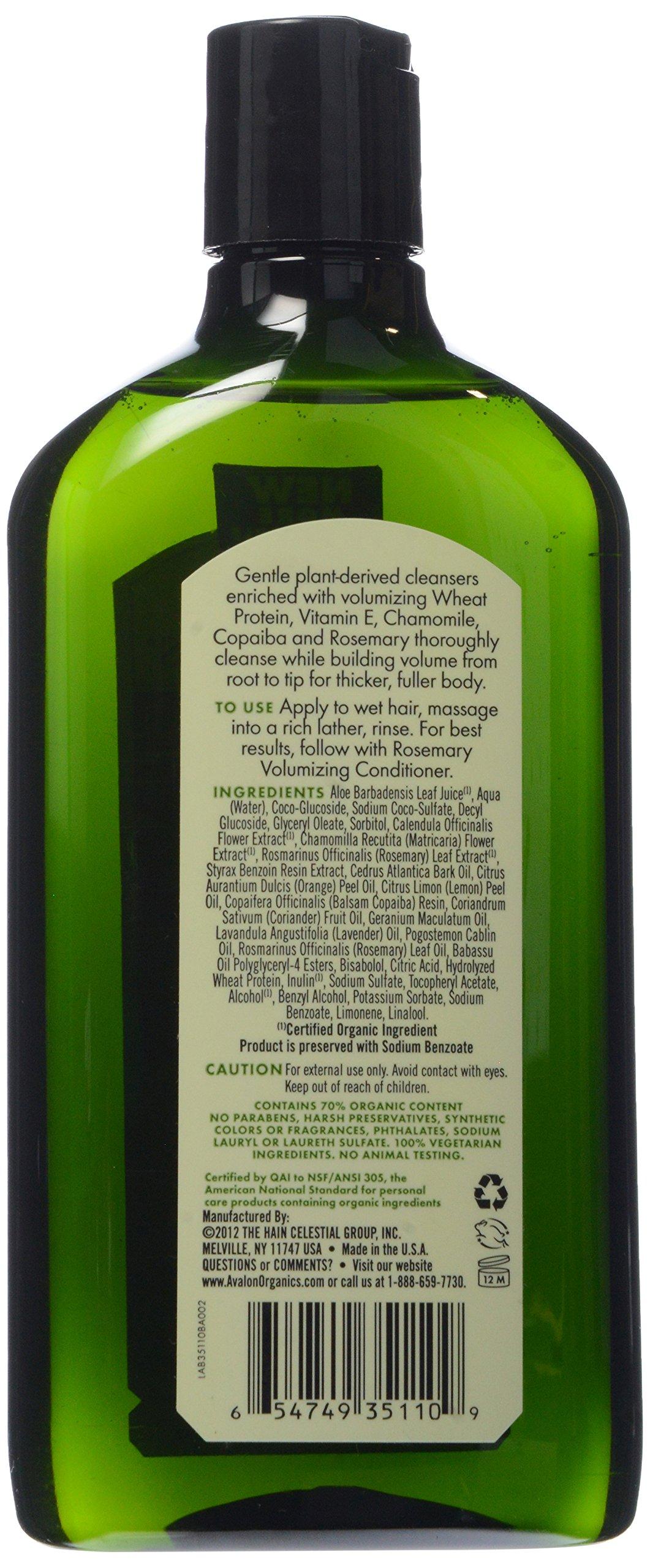 Avalon Organics Avalon Organics Shampoo Rosemary, 11 oz