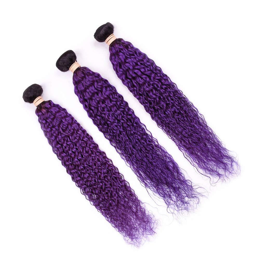 Tony beauty hair Tony Beauty Hair #1B/Purple Ombre Curly Human Hair Bundles Deals 3Pcs Lot Jerry Curly Ombre Purple Brazilian Human Hair Weave Extensions Dark Roots Double Wefts 10-30" Mixed Length (26 28 28)