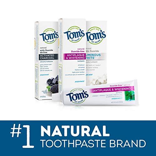 Tom's of Maine Tom's of Maine Travel Size Anticavity Fresh Mint Toothpaste, 3 oz. 6-Pack (Packaging May Vary)