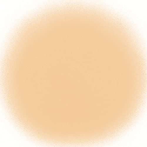 TEMPTU TEMPTU Air Perfect Canvas Airbrush Starter Kit, 4W Nude