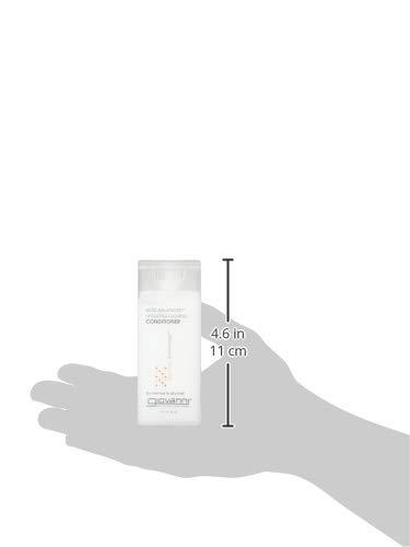 David King & Co David King & Co. Large Shave Kit, Black, One Size