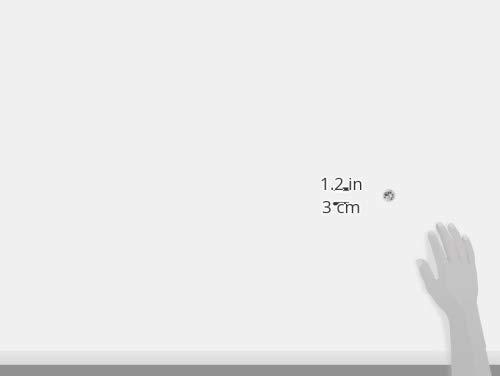 Stargazer Enterprises Stargazer Silver Glitter Stars by Stargazer