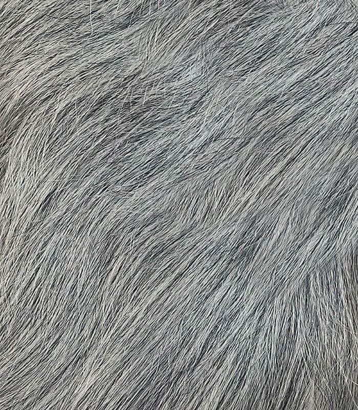 FREE TRESS FREE TRESS Naked Brazilian Human Hair Wig - Luca (Color:GREY)