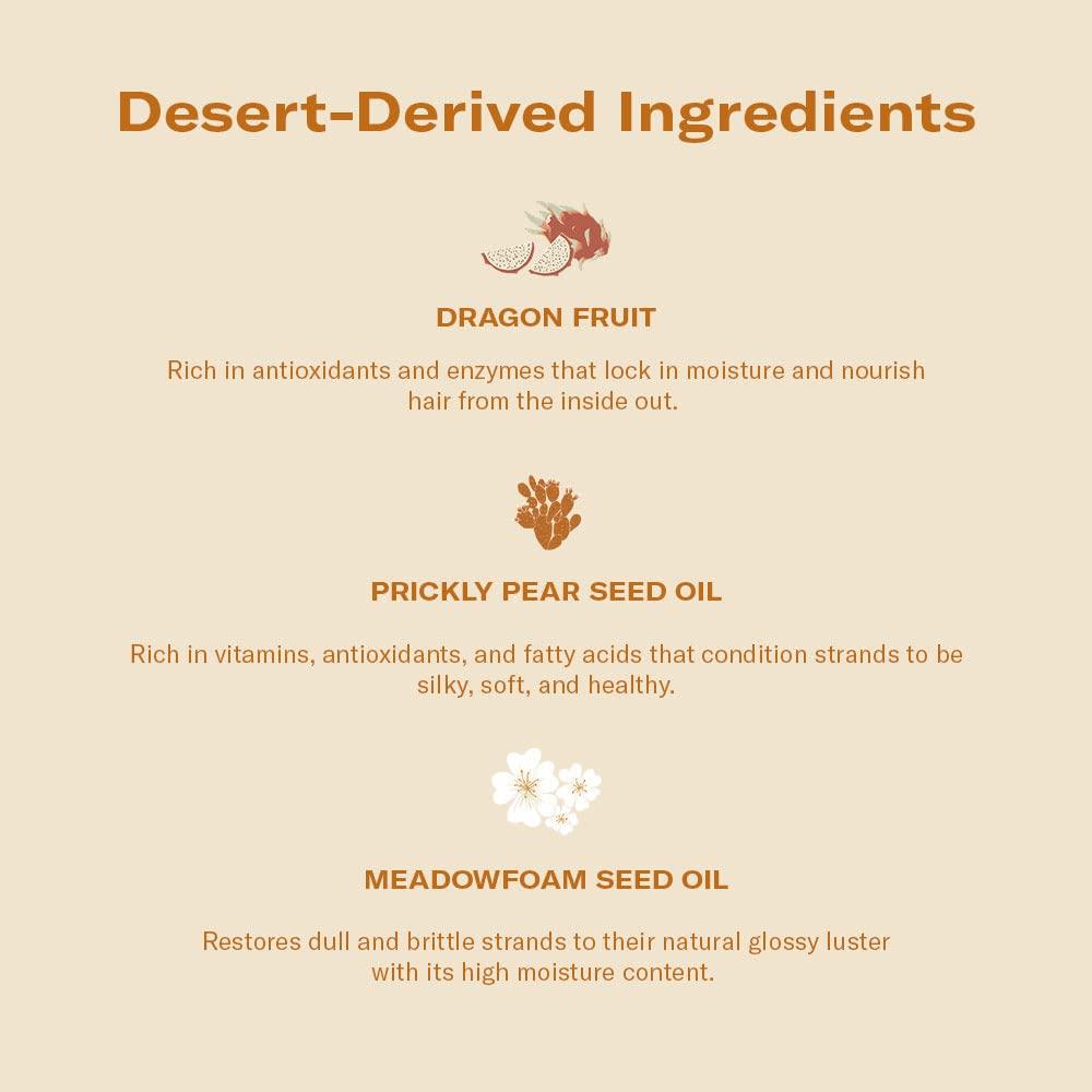 DAE DAE Cactus Fruit 3-1 Styling Cream, Dry Heat Mist & Vegan Brush