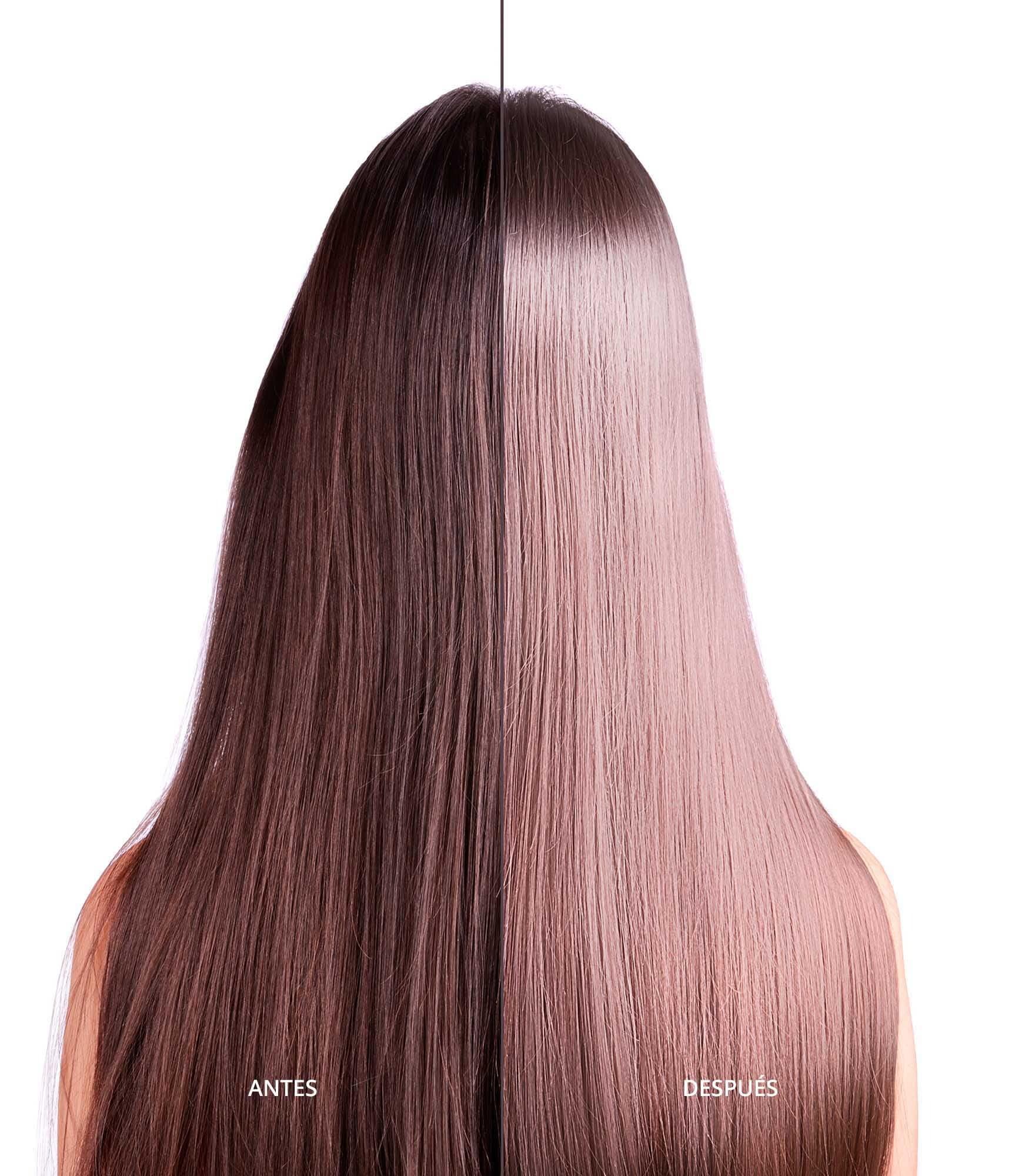 Abril Et Nature abril et nature - Cell Innove - Professional Hair Shampoo - Youthful, Healthy, and Shiny Appearance - Hair Treatment with Plant Stem Cells - Regenerates and Rejuvenates the Hair Fiber - 1000 ml