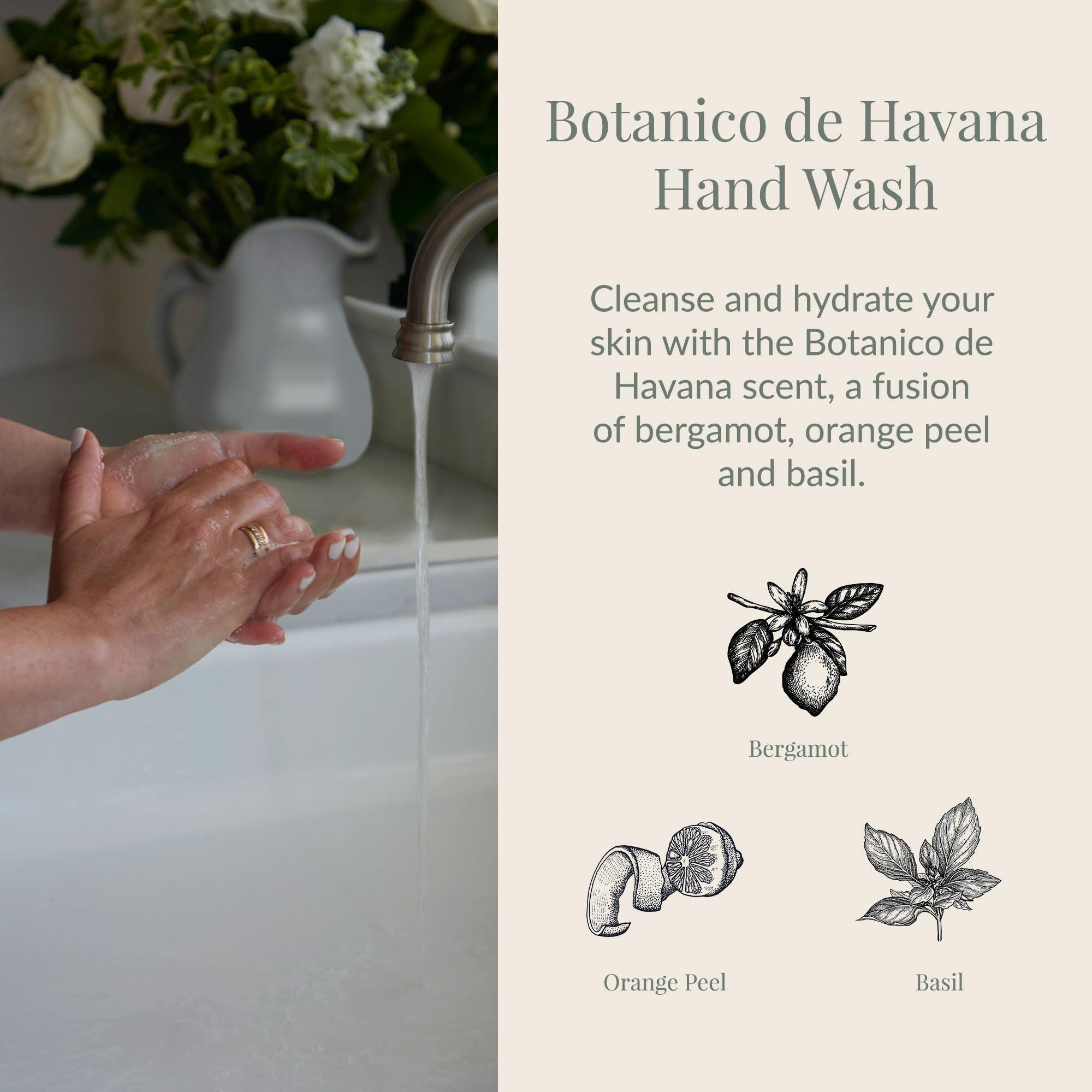 Archipelago Botanicals Archipelago Botanicals Botanico de Havana Liquid Hand Soap, Moisturizing Daily Hand Wash with Soap Pump, Kitchen or Bathroom Hand Soap, 16.5 Fl. Oz.