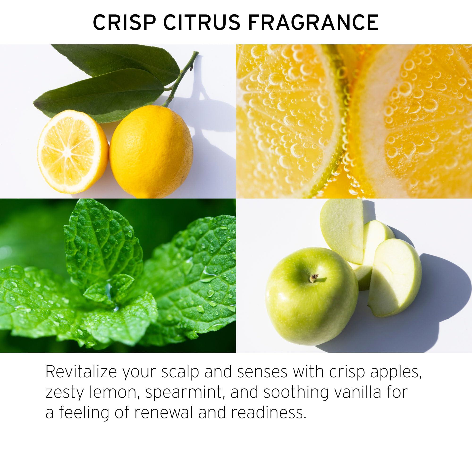 Fekkai Fekkai Apple Cider Detox Shampoo - 8.5 oz - Deeply Cleanses & Removes Visible Build-Up - Free of Sulfates, Parabens, Phthalates - Vegan, Cruelty-Free