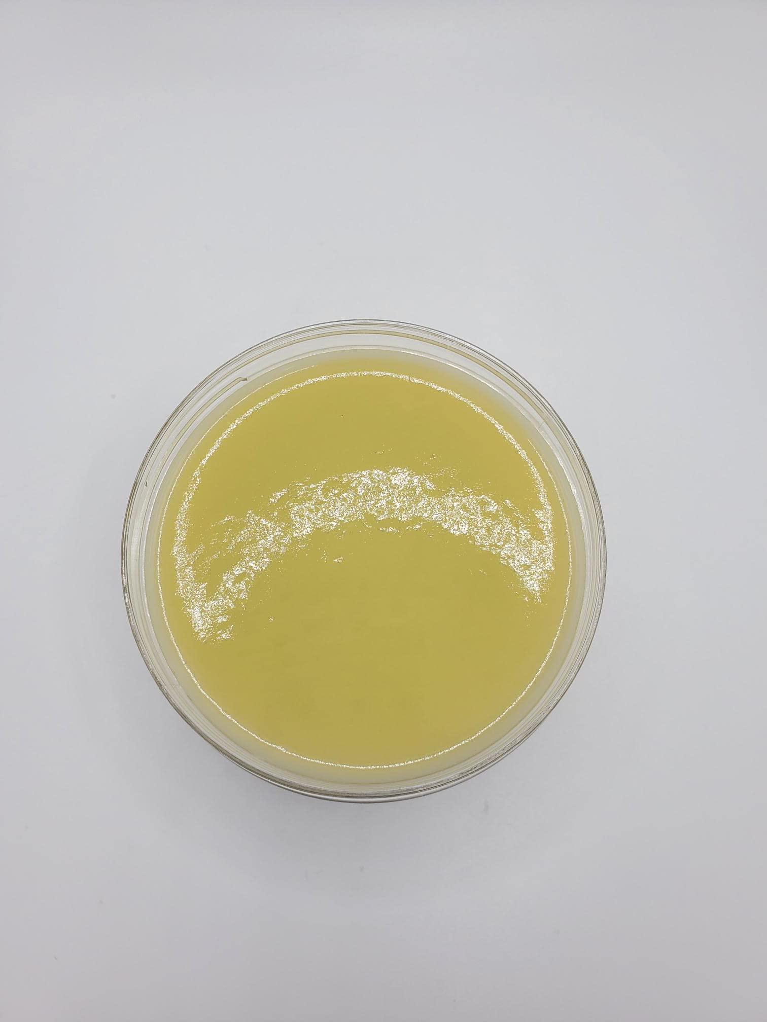 NinthAvenue Basics Hemp Lotion (Unscented)