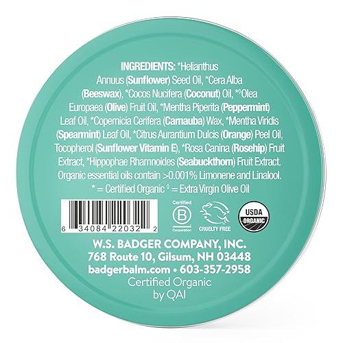 Badger Badger - Cool Mint Lip Butter, Moisturizing Organic Coconut Oil, Beeswax, Sunflower & Peppermint Oil
