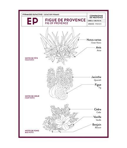 La Compagnie de Provence Compagnie de Provence Savon de Marseille Extra Pure Liquid Soap - Fig of Provence - 16.7 Fl Oz Glass Pump Bottle