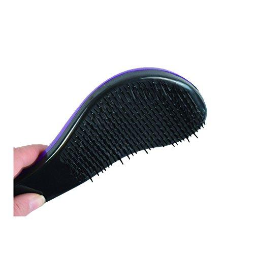 Dingli Hair Dingli Hair Detangling Hair Brush Detangler Hair Comb for All Kinds of Hair (Black)