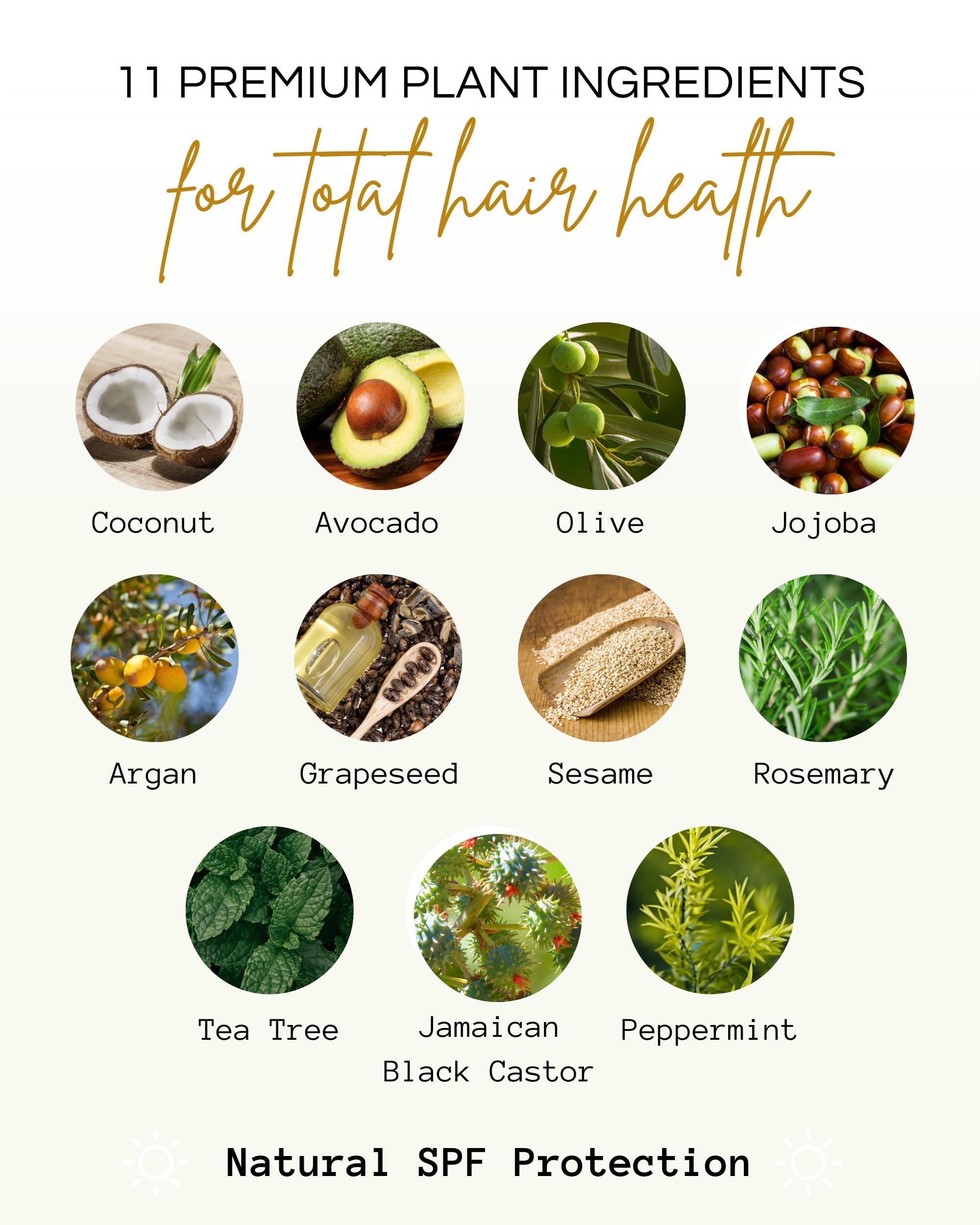 Righteous Roots Righteous Roots Hair Oil for Hair Growth, Anti Frizz and Thickener (4 fl OZ, Pack of 2) - Best for Beard, Curly, Wavy and Natural Hair