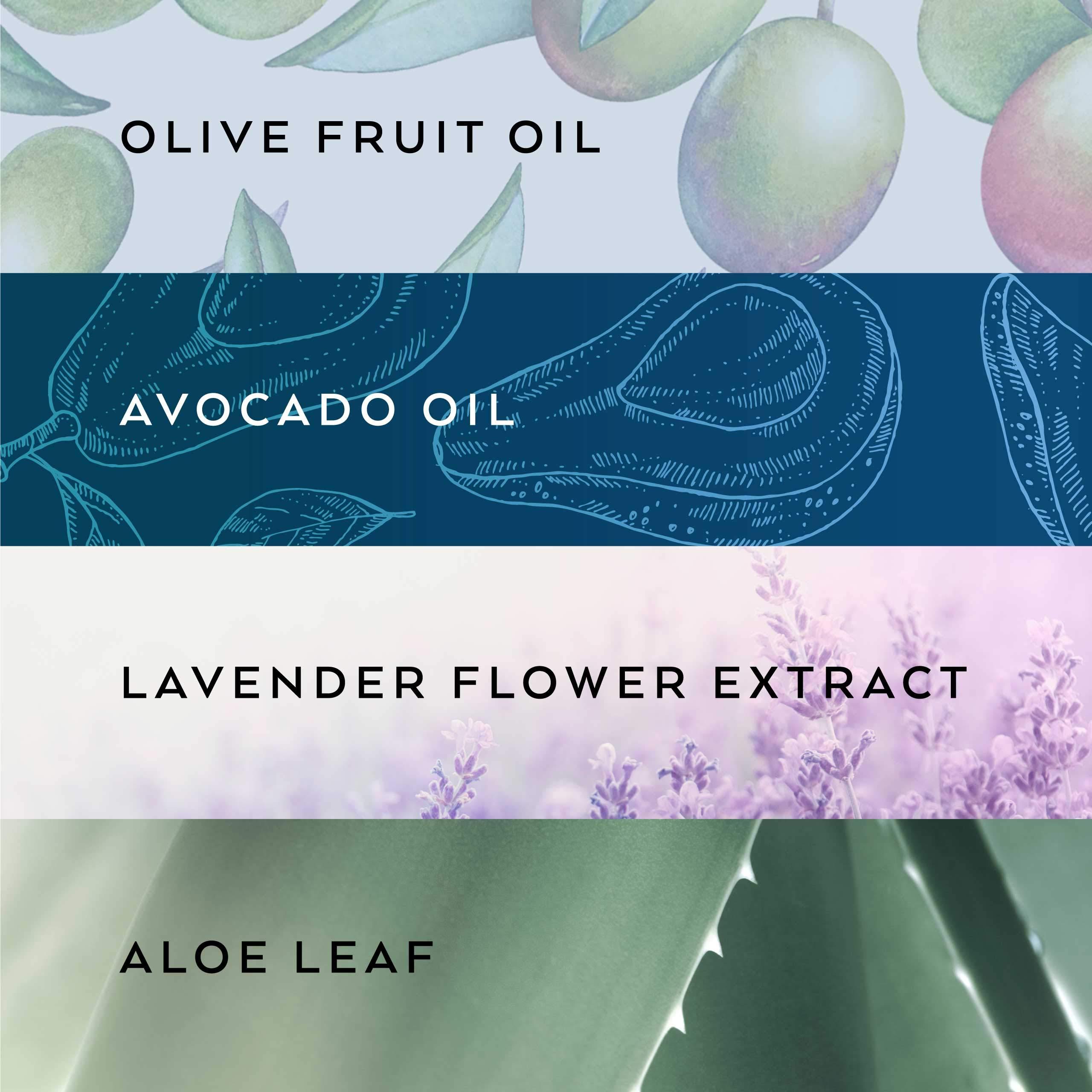 LOLLIA Lollia Dream Bubble Bath, 24 fl. oz. White Tea & Honeysuckle Scent Soothing & Moisture-Rich Bubble Bath, Hydrating Ingredients, Scented Bubble Bath for Women