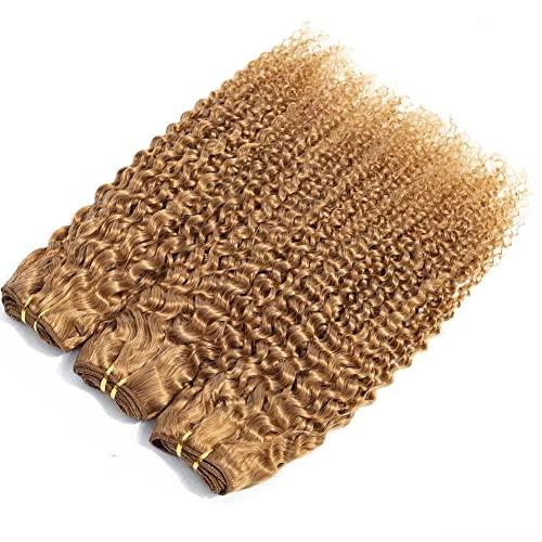 FEEL ME FEEL ME Afro Kinky Curly Human Hair Bundles Brazilian Hair Weave Bundles 10A Unprocessed Brazilian Virgin Curly Hair Bundles Color 27 Honey Blonde Curly Hair 100g 14 Inch