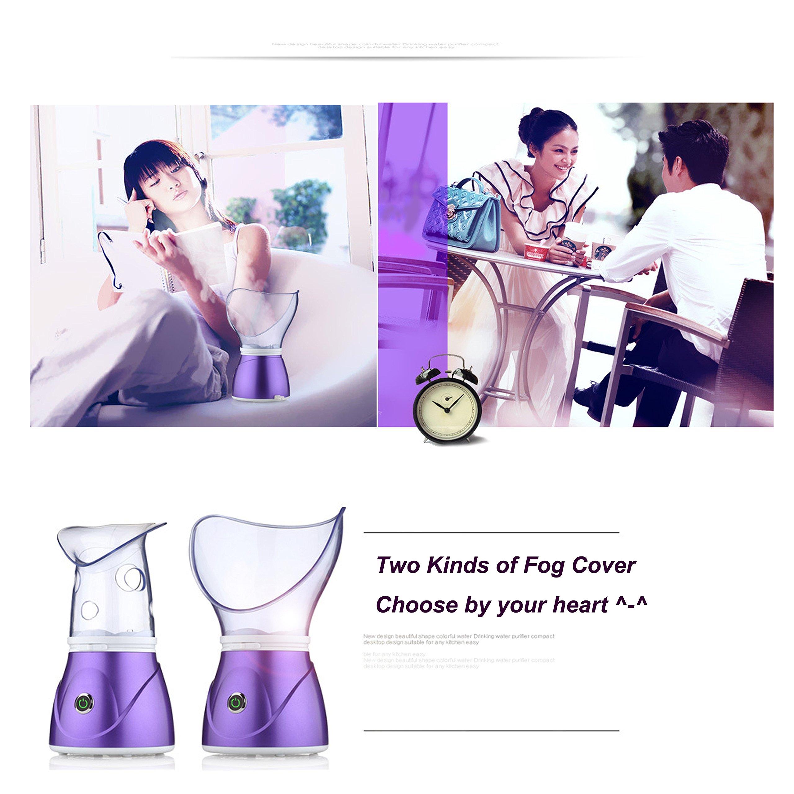 Hann Hann Facial Steamer Professional Sinus Steam Inhaler Face Skin Moisturizer Facial Mask Sauna Spa Steamers with Aromatherapy Diffuser Humidifier Function (Purple)
