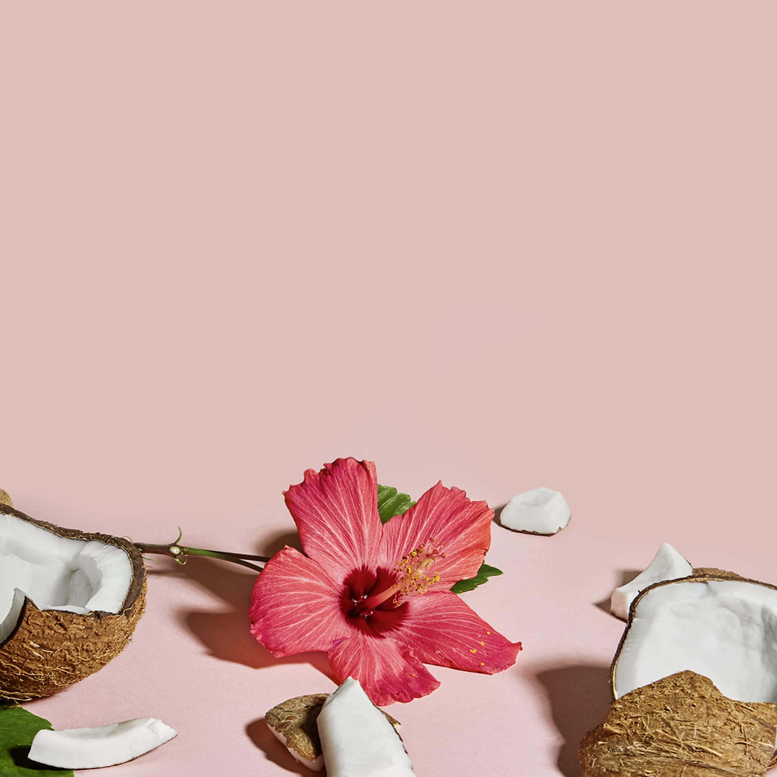 SheaMoisture SheaMoisture Curl and Shine Coconut Shampoo for Curly Hair Coconut and Hibiscus Paraben Free Shampoo 13 oz 2 Count