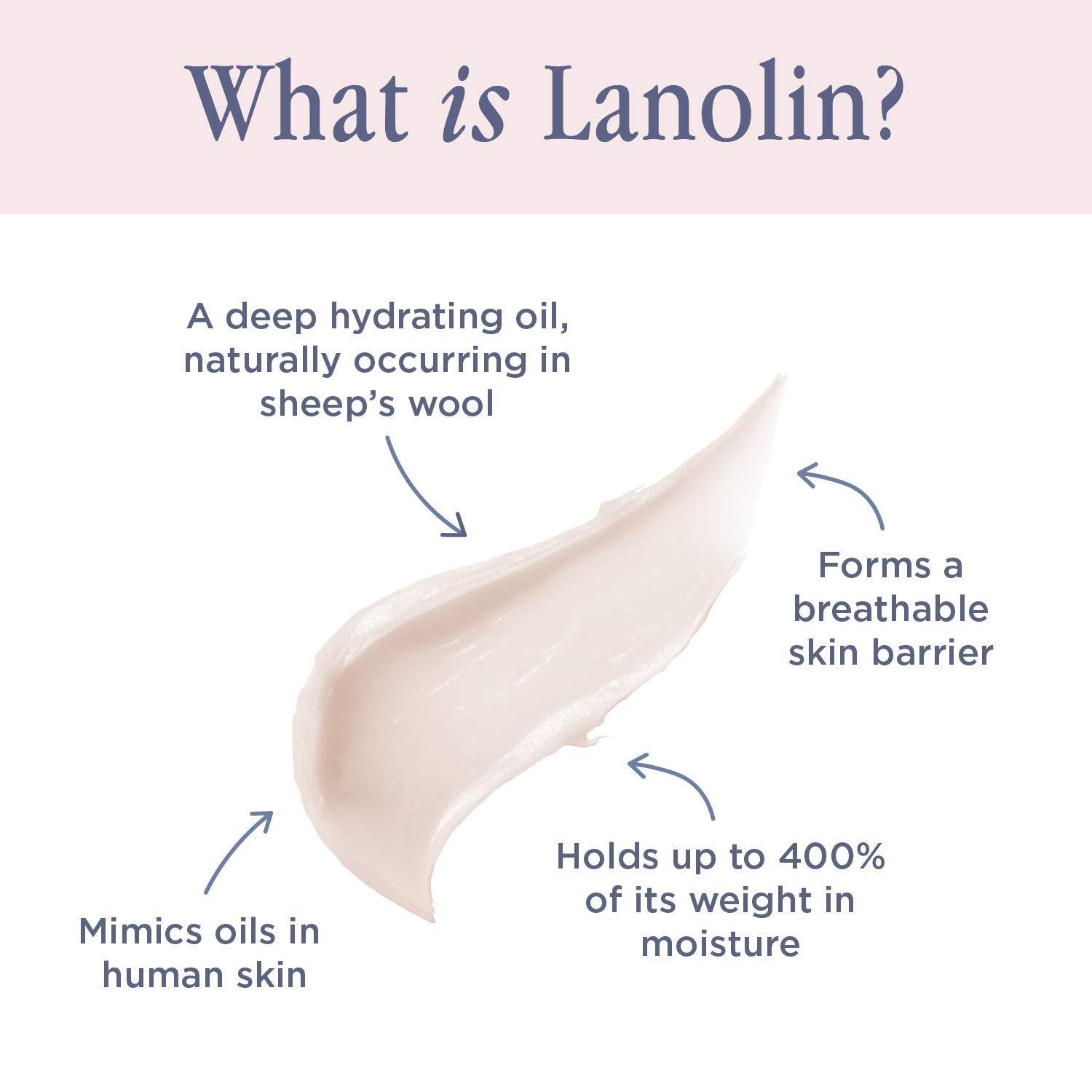 Lanolips Lanolips 101 Ointment - Lanolin Lip Balm for Smooth, Hydrated & Healthy Lips - Multipurpose Ointment with Lanolin Oil for Dry Cuticles & More - Peach (0.52 oz)