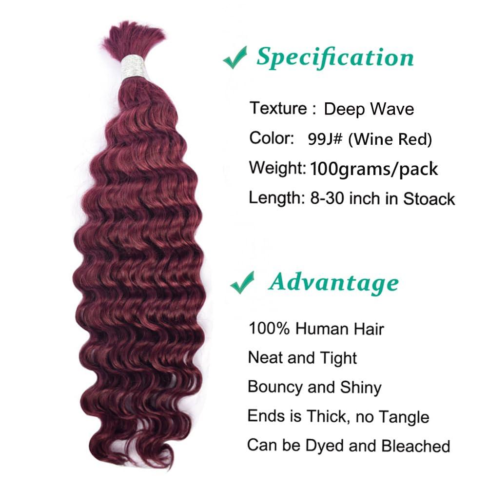 Kiss darling LASHES Hair Bulk Brazilian Human Hair Bulk for Braids Deep Wave Curly Bulk Human Hair for Braiding No Weft Deep Wave Virgin Human Braiding Hair 22inch 99J# (Wine Red)