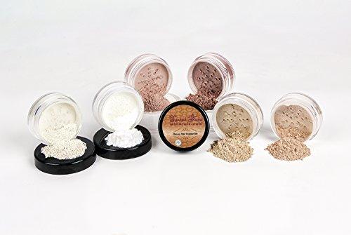 Sweet Face Minerals TIMELESS LOOK KIT (LIGHT TAN) Full Size Mineral Makeup Set Matte Foundation Bare Face Sheer Powder Cover
