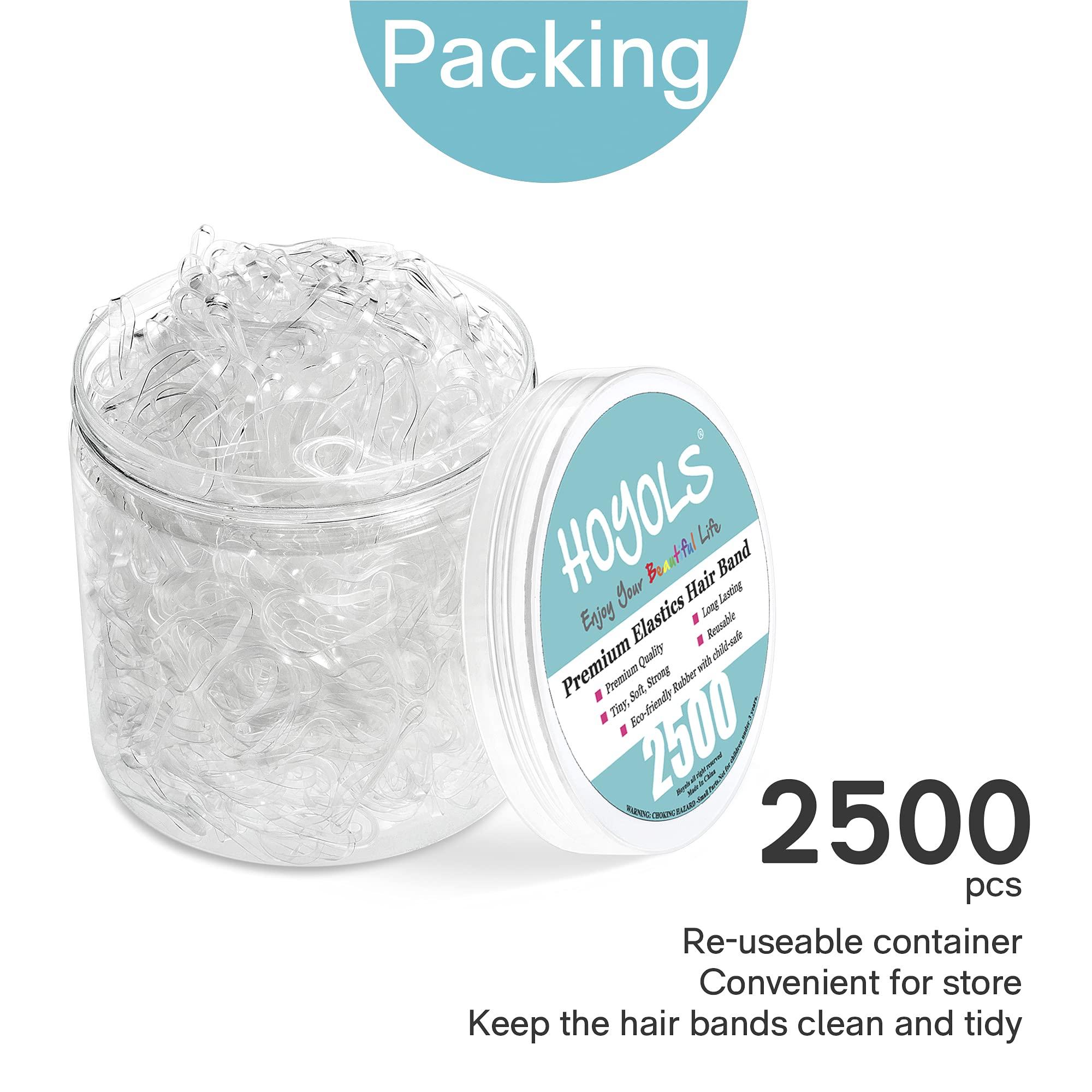 HOYOLS HOYOLS Clear Elastic Hair Bands, 2500 Small Rubber Bands Braids for Girls Kids Women Non-Slip Tiny Soft Hair Ties Accessories Value Pack TPR