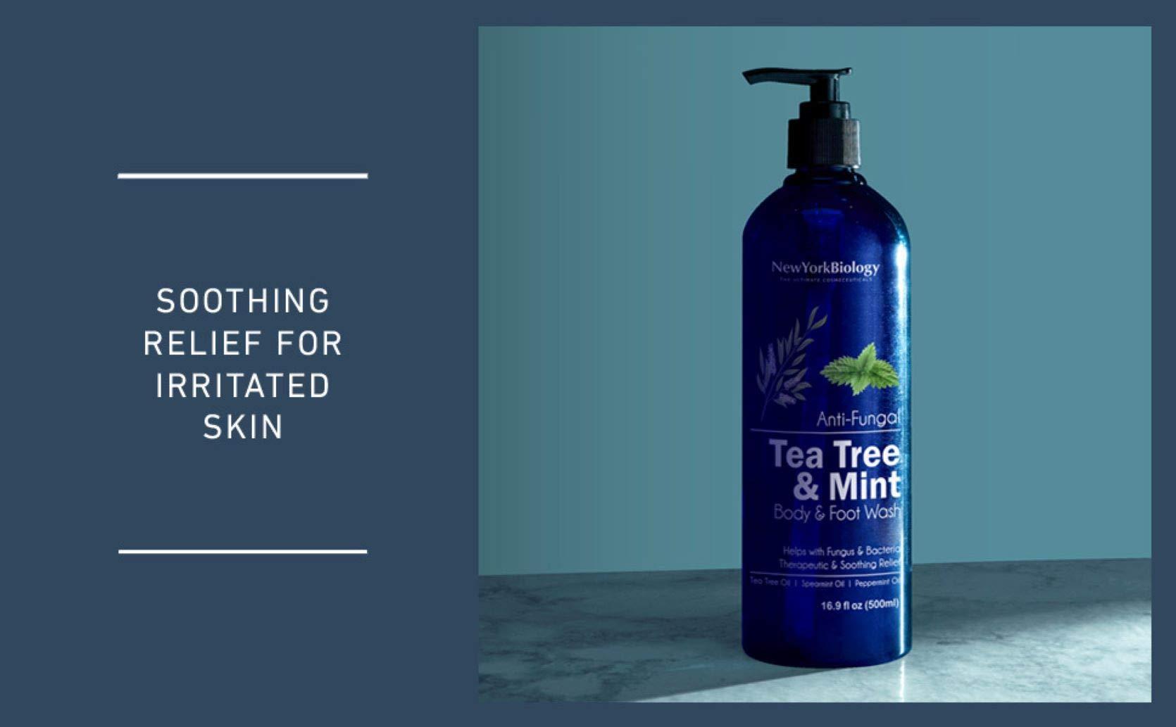 NEW YORK BIOLOGY THE ULTIMATE COSMECEUTICALS New York Biology Tea Tree Body Wash with Tea Tree Mint Body Wash for Men and Women - Helps Jock Itch & Itchy Skin, Nail Fungus, Athletes Foot, Eczema & Body Odor, Ringworms – 16 Fl Oz