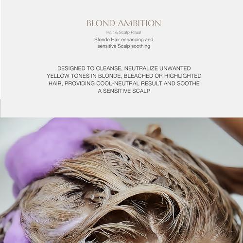 T-LAB PROFESSIONAL T-LAB PROFESSIONAL Purple Shampoo and Conditioner Set for Blonde Hair, Sulfate Free Brass Remover Blondes Color Treated Brassy Hair