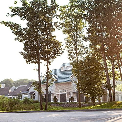 Michel Design Works Michel Design Works Cotton & Linen Large Bath Soap Bar, 8.7 oz