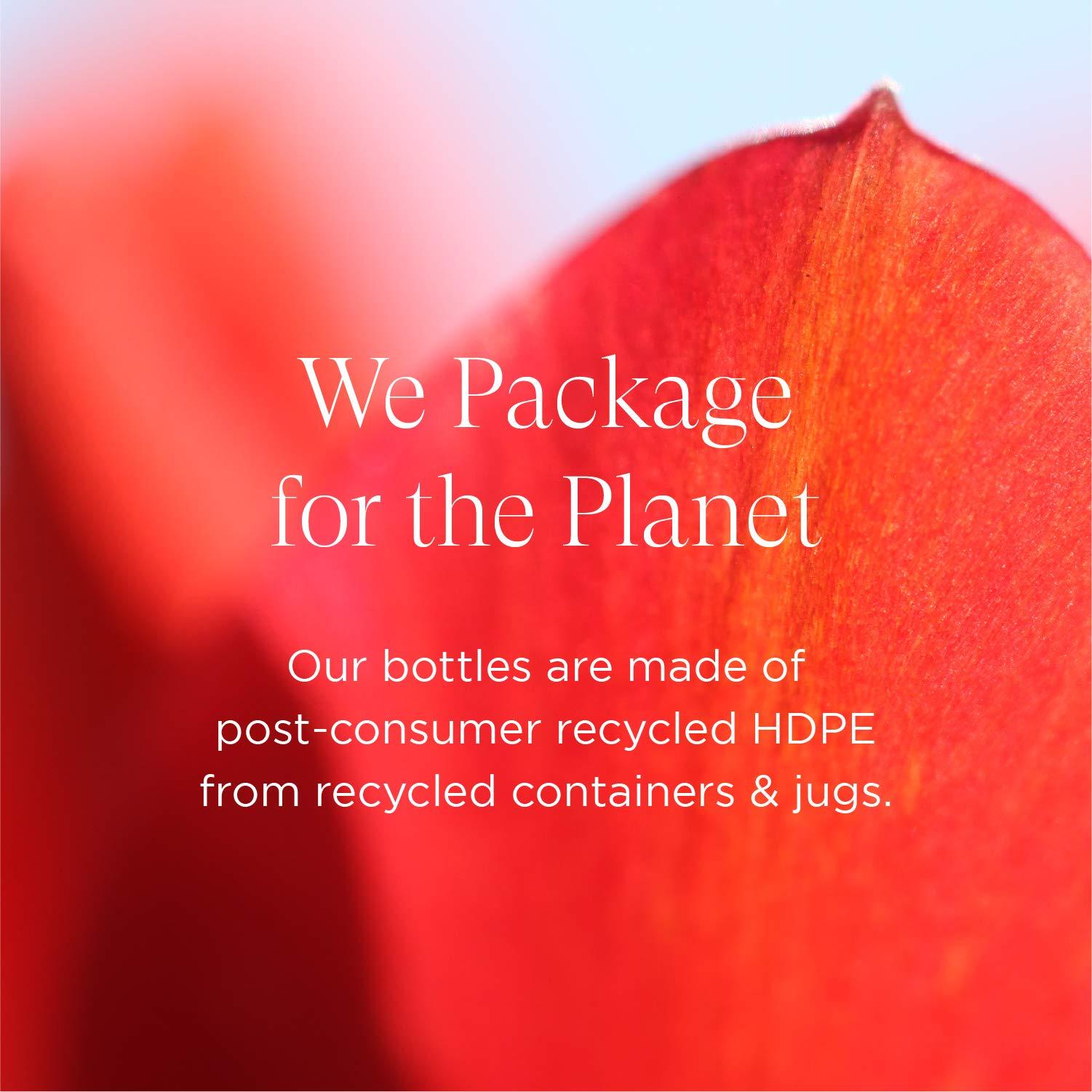 Kachita Spell Kit NEW Brazilian Keratin Blowout Treatment Kachita Spell Chocolate 32 fl oz + Shampoo Conditioner for Keratin Treatments