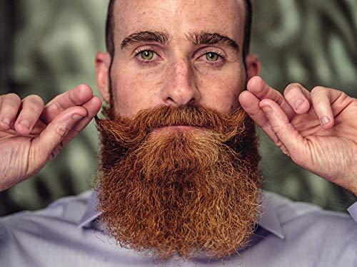 Beauty and the Bees Professor Fuzzworthy's Beard Shampoo Bar Combo Set - Original & ACV Beard Wash Men's Grooming Gift Kit | 100% Natural Beard Soaps with Organic Ingredients Travel Friendly Zero Waste Plastic Free