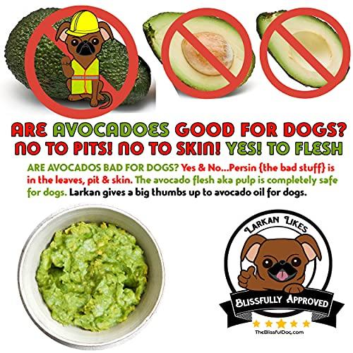 The Blissful Dog The Blissful Dog Tibetan Terrier Unscented Nose Butter - Dog Nose Butter, 0.15 Ounce