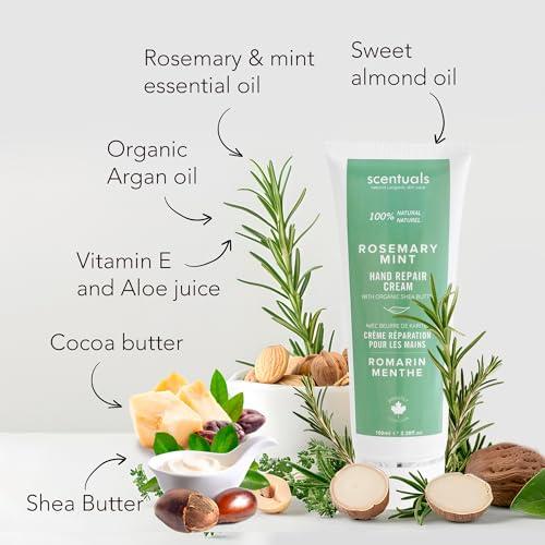 Scentuals Hand Cream with Rosemary & Mint Essential Oil, Shea Butter, Cocoa Butter, Argan & Almond oil, Vitamin E and Aloe Vera, for Moisturizing Dry Hands, Cruelty Free, Natural Skin Care, 100 ml, 3.4 fl.oz