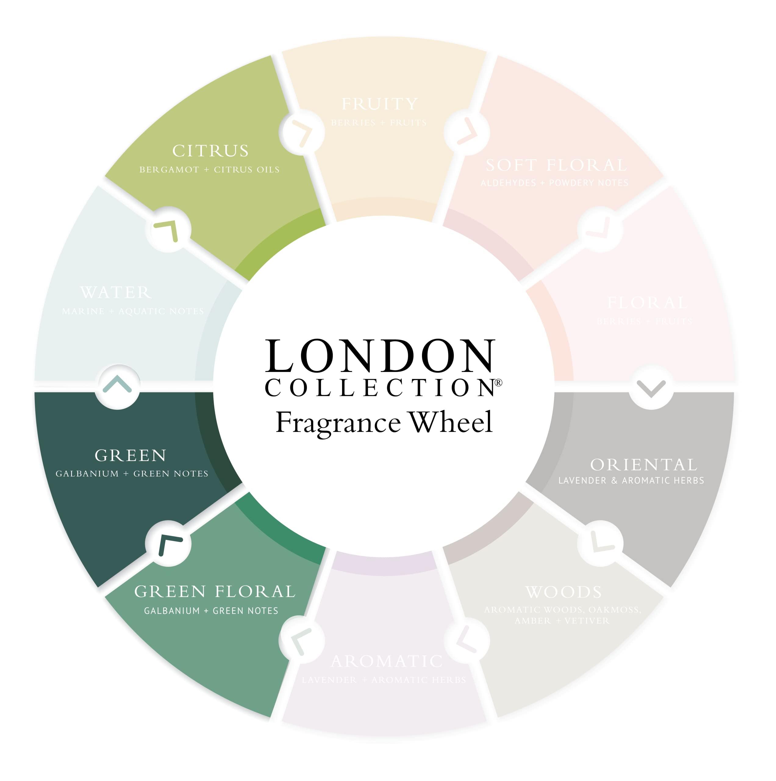 Gilchrist & Soames Gilchrist & Soames London Hand and Body Lotion - 15.5oz - Antioxidant Rich, Nourishing, Zero Parabens, Sulfates, and Phthalates