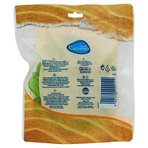Calypso Calypso Multi-coloured Synthetic Mesh, Long-handled Flower Bathing Sponge (31100080)