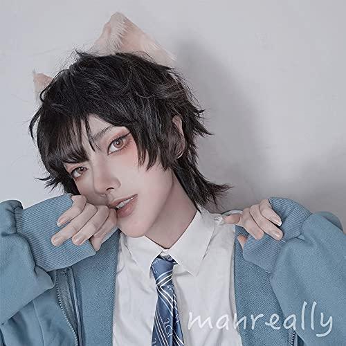 Lmaray 12.6 Inch Natural Black Wig Japanese Style Harajuku Male Short Wigs Boys Curly Hair Fluffy Wig Cosplay Wigs Brother Handsome Guy Wig, Heat Resistant Synthetic Fiber, Wig Cap Included, No Headwears