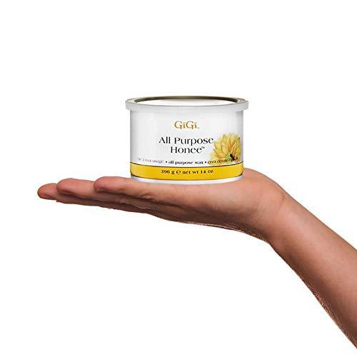 GiGi GiGi Professional Waxing Hair Removal Student Starter Kit + Honee Wax, 14 Ounces