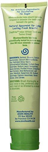 Zion Health Zion Health Claybrite Natural Toothpaste, Natural Mint, 4 Ounce (Packaging may vary)
