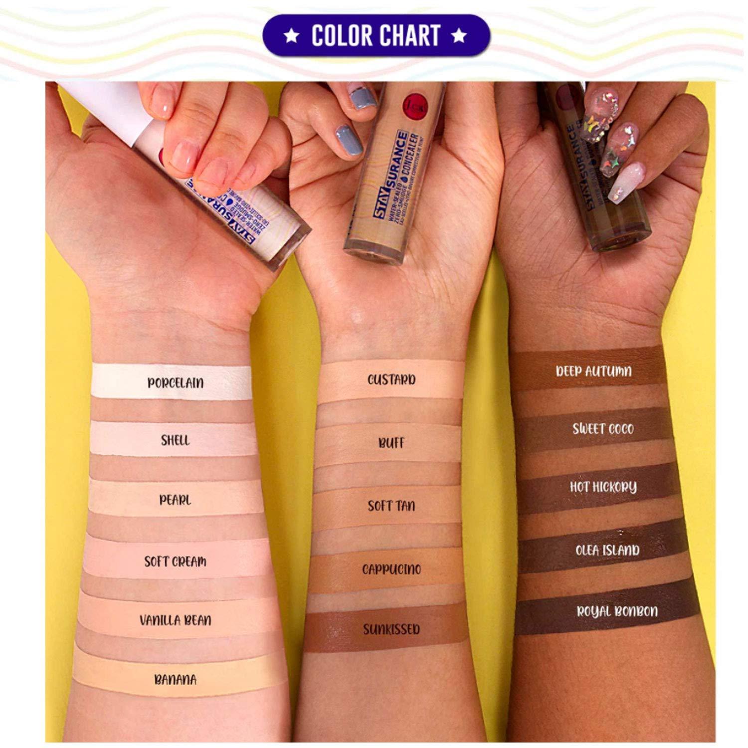 J.CAT BEAUTY Jcat Beauty Professional Staysurance Water Sealed Zero Smudge Concealer Face and Body + Free ZipBag (SHC102 : SHELL)